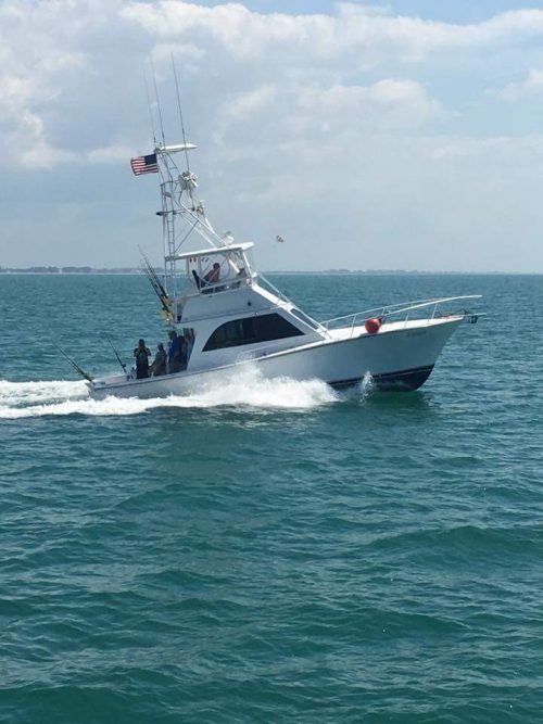 About Our Boats Sarasota, FL Charter Boat Shark