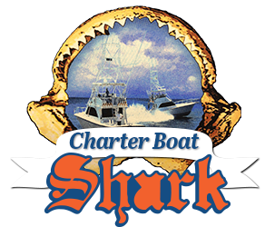 Charter Boat Shark